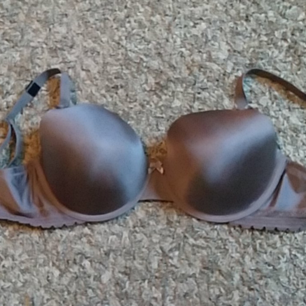 Paramour bra